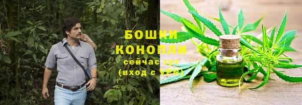 таблы Богородицк